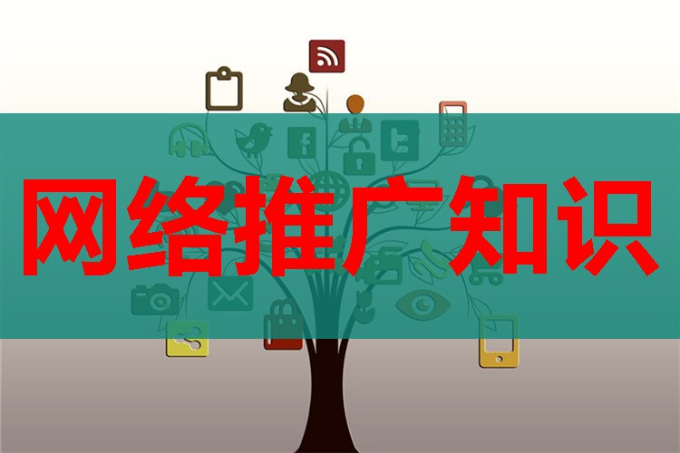 广州企业网络推广外包公司，广州地区的网络推广,哪个公司较好呢